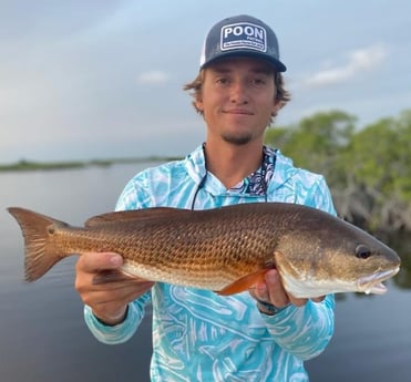 Redfish fishing in Sarasota, Florida