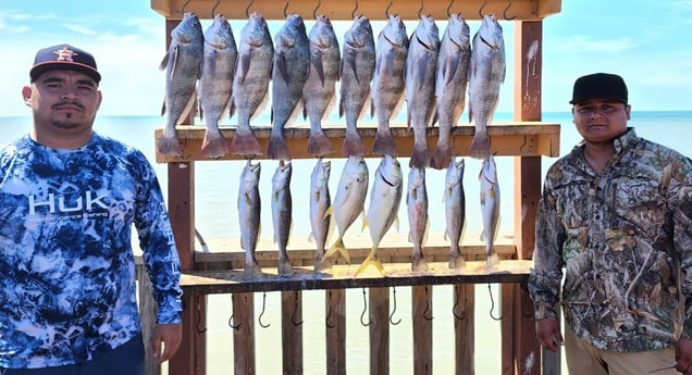 Black Drum, Jack Crevalle, Speckled Trout / Spotted Seatrout fishing in Port Isabel, Texas