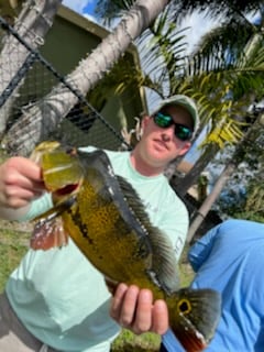 Peacock Bass fishing in Fort Lauderdale, Florida