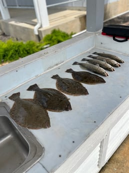 Flounder, Speckled Trout Fishing in Galveston, Texas