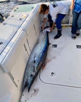 King Mackerel / Kingfish fishing in Corpus Christi, Texas