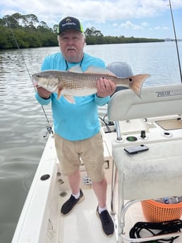 Redfish Fishing in Clearwater, Florida