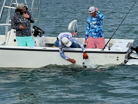 Tarpon fishing in Naples, Florida