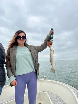 Speckled Trout / Spotted Seatrout fishing in Galveston, Texas