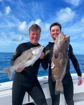 Black Grouper Fishing in Islamorada, Florida