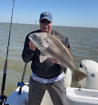 Black Drum Fishing in Galveston, Texas