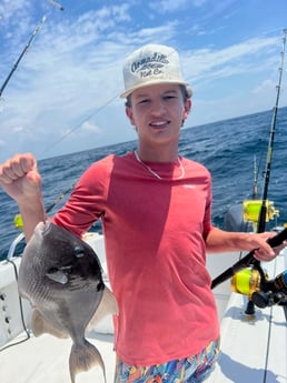 Triggerfish Fishing in Pensacola, Florida