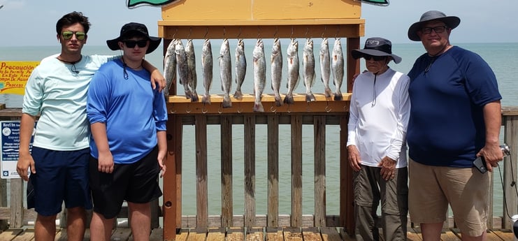 Speckled Trout / Spotted Seatrout fishing in Port Isabel, Texas