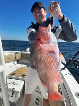 Red Snapper Fishing in Niceville, Florida