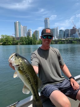 Largemouth Bass fishing in Austin, Texas