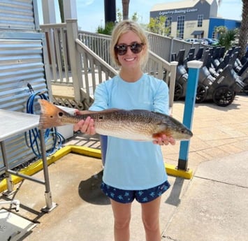 Redfish Fishing in Destin, Florida