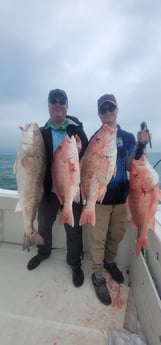 Red Snapper, Redfish fishing in South Padre Island, Texas