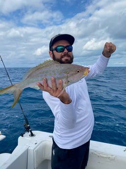 Yellowtail Snapper fishing in Key West, Florida