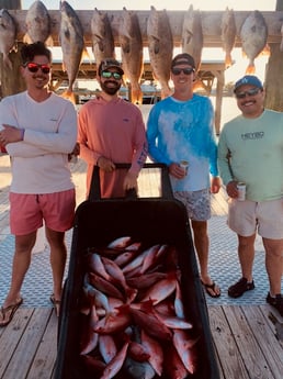 Amberjack, Gag Grouper, Triggerfish, Vermillion Snapper Fishing in Orange Beach, Alabama