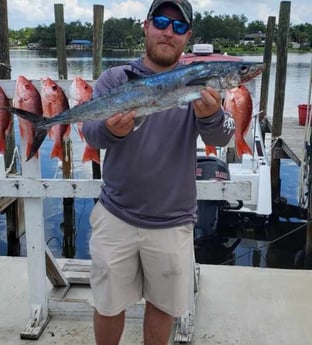 King Mackerel / Kingfish, Red Snapper fishing in Panama City, Florida