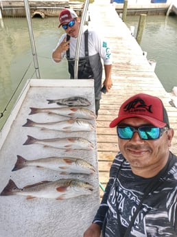 Black Drum, Redfish fishing in Rio Hondo, Texas