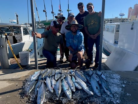 King Mackerel / Kingfish, Spanish Mackerel Fishing in Clearwater, Florida