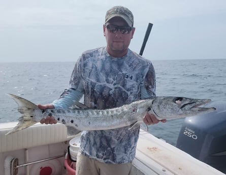 Barracuda fishing in Clearwater, Florida