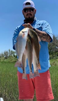 Redfish fishing in Freeport, Texas