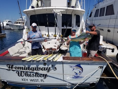 Mahi Mahi, Wahoo Fishing in Key West, Florida