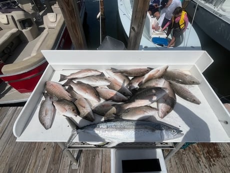 Fishing in Marathon, Florida