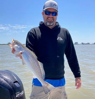 Speckled Trout / Spotted Seatrout fishing in Galveston, Texas