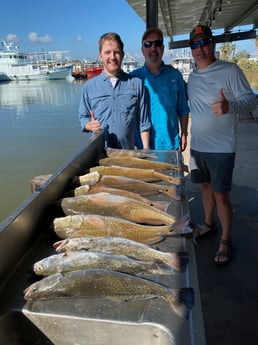 Redfish, Sheepshead, Speckled Trout / Spotted Seatrout fishing in Galveston, Texas