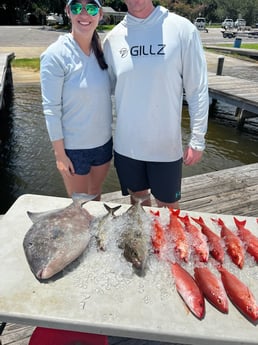 Amberjack, Red Snapper, Triggerfish fishing in Pensacola, Florida