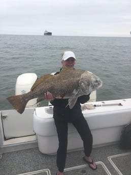 Black Drum fishing in Galveston, Texas