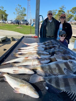 Black Drum, Speckled Trout / Spotted Seatrout fishing in Galveston, Texas