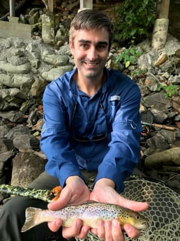 Brown Trout fishing in Leicester, North Carolina