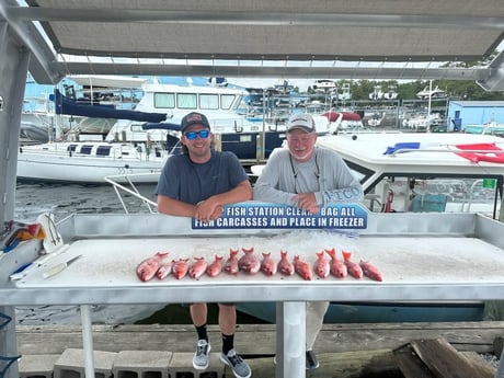 Vermillion Snapper Fishing in Destin, Florida