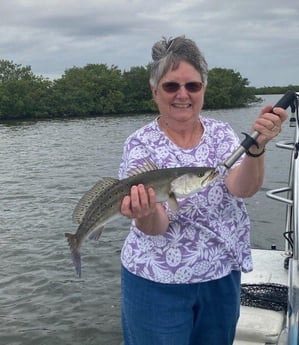 Speckled Trout / Spotted Seatrout Fishing in New Smyrna Beach, Florida