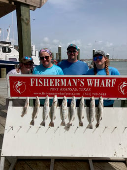 Speckled Trout / Spotted Seatrout fishing in Rockport, Texas