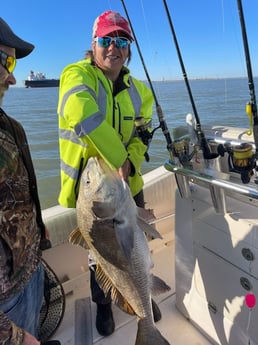 Black Drum fishing in Galveston, Texas