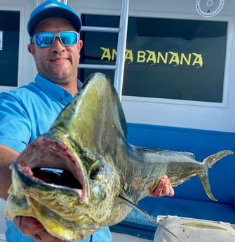 King Mackerel / Kingfish fishing in Marathon, Florida