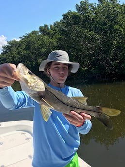 Snook Fishing in St. Petersburg, Florida