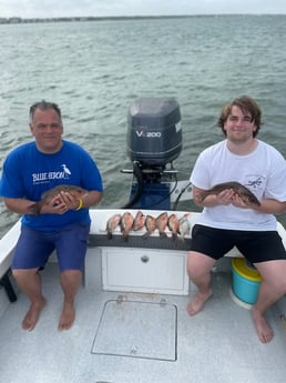 Snook fishing in Tampa, Florida