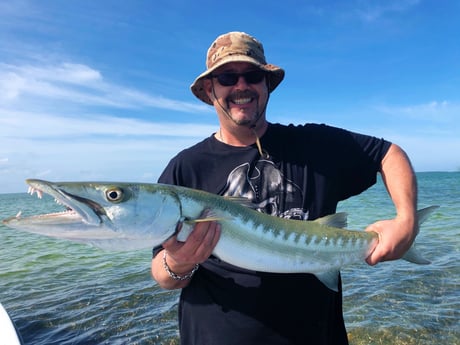 Barracuda fishing in Tavernier, Florida