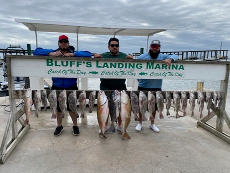 Black Drum, Redfish fishing in Corpus Christi, Texas