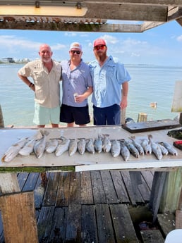 Speckled Trout / Spotted Seatrout fishing in Galveston, Texas