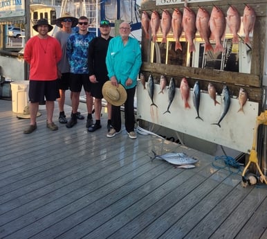 Little Tunny / False Albacore, Red Snapper fishing in Destin, Florida