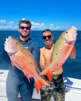 Mutton Snapper Fishing in Islamorada, Florida