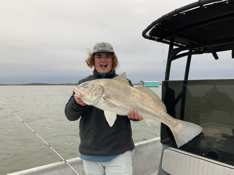 Black Drum fishing in Aransas Pass, Texas