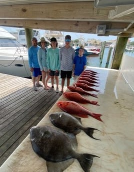 Fishing in Orange Beach, Alabama