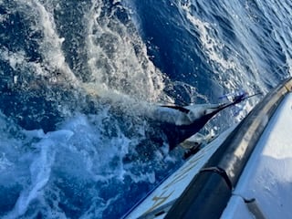 Fishing in Riviera Beach, Florida