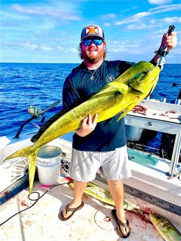 Mahi Mahi / Dorado Fishing in Santa Rosa Beach, Florida