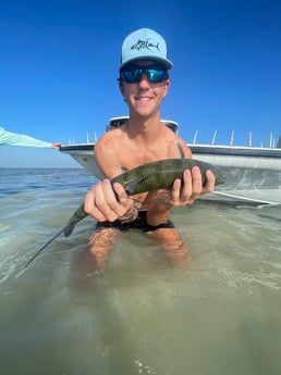 Bonefish fishing in Key West, Florida