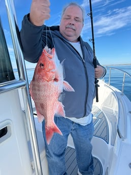 Red Snapper fishing in Destin, Florida