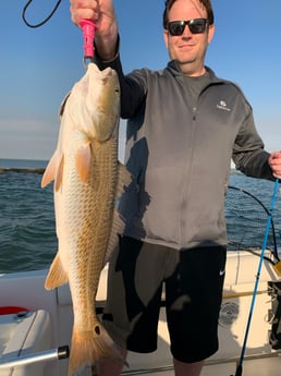 Speckled Trout / Spotted Seatrout fishing in Galveston, Texas